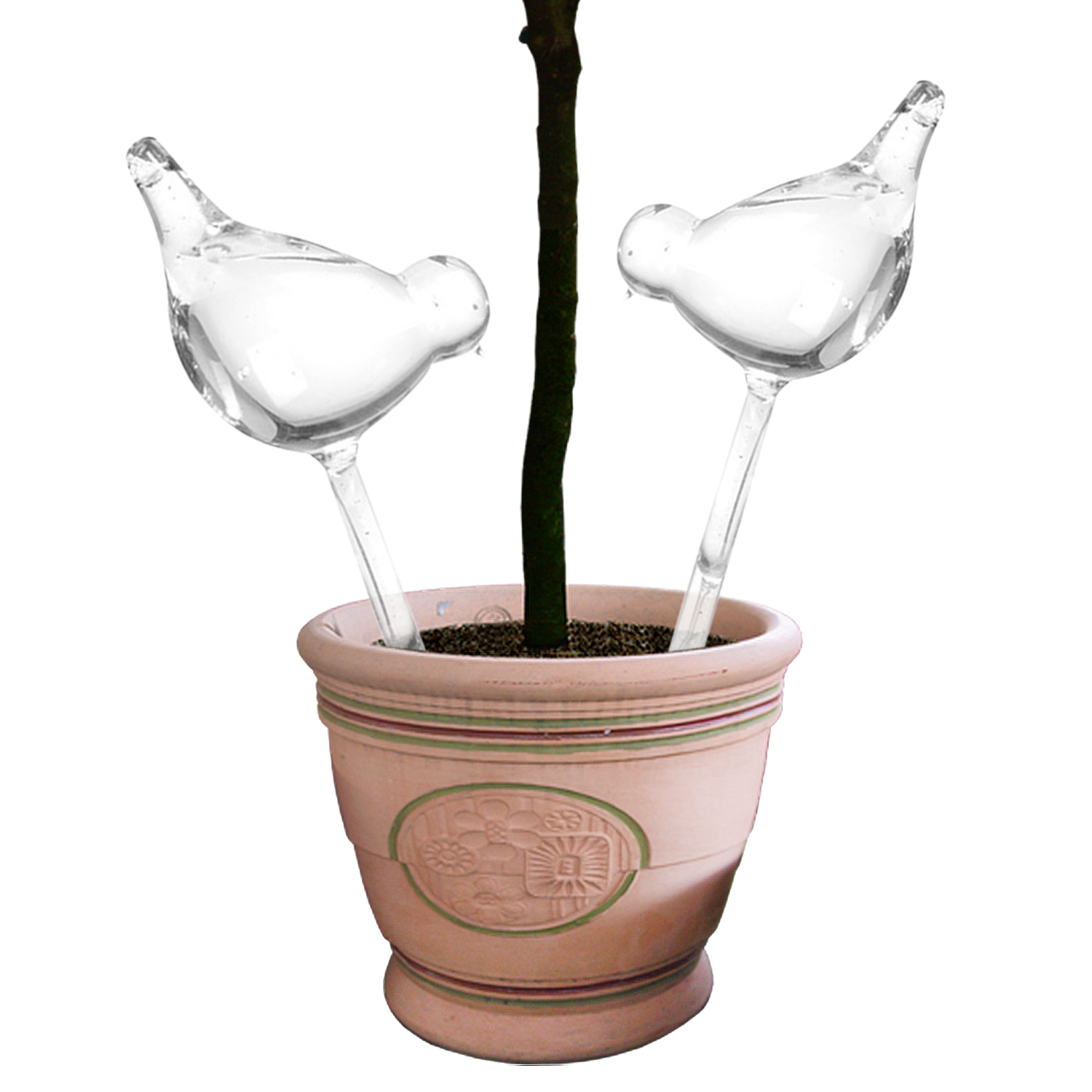 Glass Plant Flowers Water Slow Feeders Self Watering 2/4/6 Bird Plant