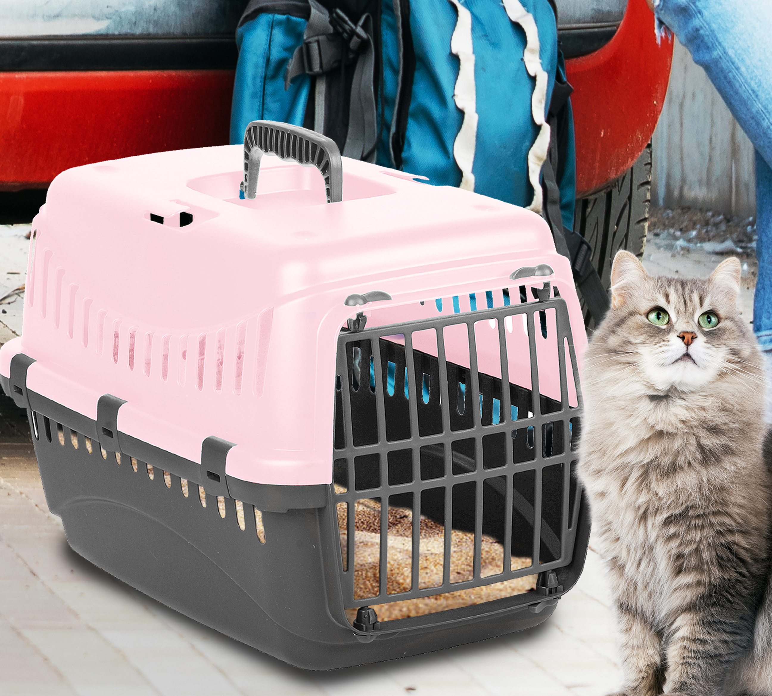 pet travel box plastic