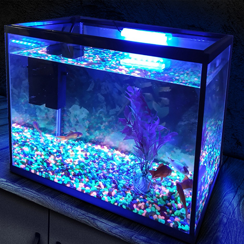 26L Glass Aquarium Fish Tank Starter Kit Set Air Filter Pump Net Stone LED Light eBay